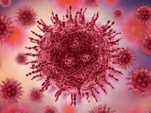 image-1769448818_screenshot_11