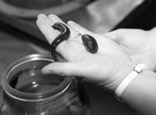 image-0f1ff8563c6dfd73fefee1c2d07ba0bc