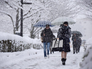image-1734509612_sneq_japan