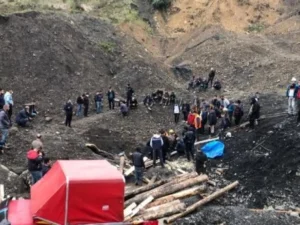 image-1771245592293-791660892