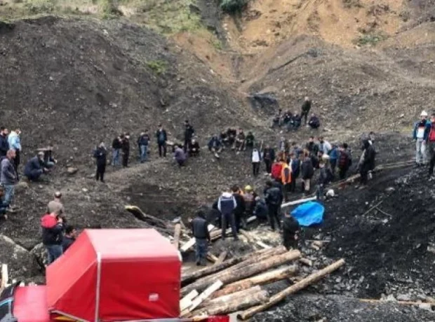 image-1771245592293-791660892