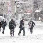 image-1771303488_1643100790_1610790820_1398106-734x403