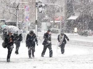 image-1771303488_1643100790_1610790820_1398106-734x403