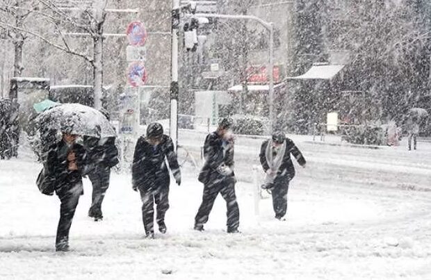 image-1771303488_1643100790_1610790820_1398106-734x403