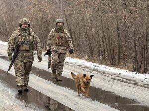 image-2026-02-19t143540z_1679777986_rc2vojacj7dy_rtrmadp_3_ukraine-crisis-kostiantynivka-jpg
