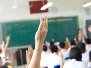 image-305913_3ba2o7gndc_1771151268