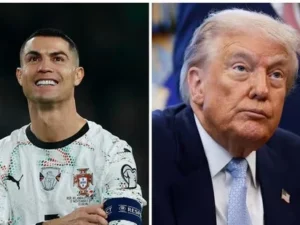 image-691db5cd791f7691db5cd791f81763554765691db5cd791f5691db5cd791f6