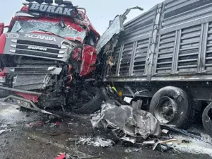 image-69a012bb89551b835cd4b240