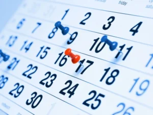 image-image_940x_6992afba20a68