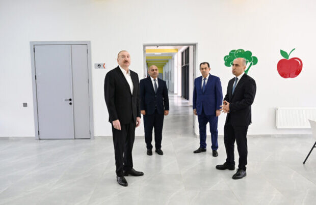 image-lenkeran-1-768x403