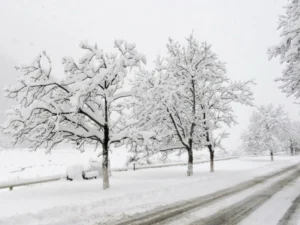 image-ptvbqpywzcde3jghgpt3lmenmrua0ujiki7xrgcd