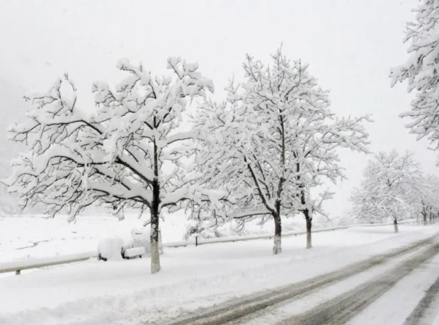 image-ptvbqpywzcde3jghgpt3lmenmrua0ujiki7xrgcd