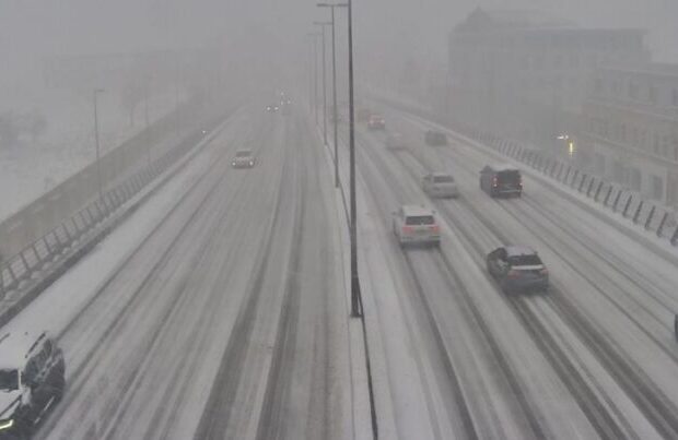 image-qarli9888-1-768x403-1