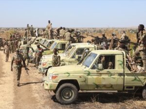 Sudan qüvvələri Kadugli şəhərinin mühasirəsini yardılar