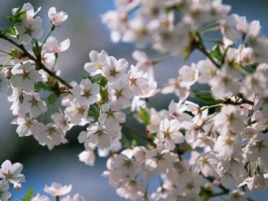 image-01kk69050w42hphkf5apv3kmn5-large