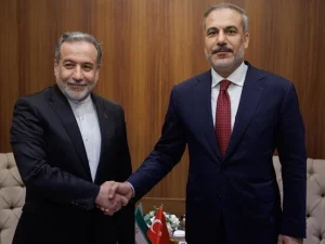 image-arakci-fidan-1