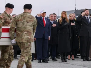 image-dignified-transfer-001