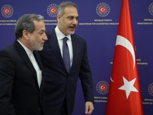 image-fidan-arakci-1