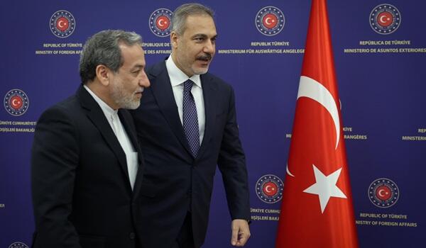 image-fidan-arakci-1