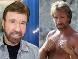 image-sc-chuck-norris-comp-copy