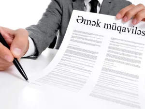 image-01knv97vh77jbcxj1exff3x22s-large