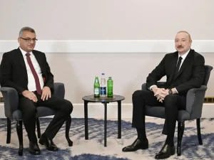 image-01kpd5hvn7tggqqvhcezzdfvrb-large