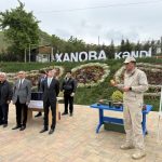 image-1777377337_def7398d-fc71-4394-882c-de75e5dff959