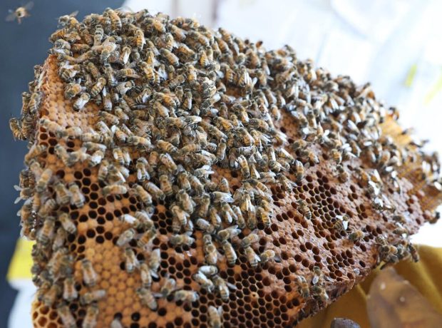 image-2990d36b_ccd7_467d_bc12_5c81ddfad899