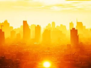 image-5447626936910813529