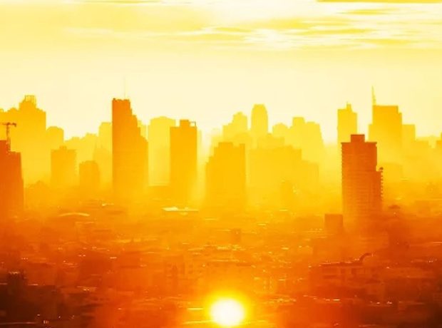 image-5447626936910813529