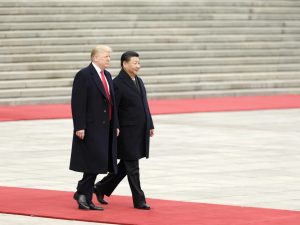 image-5963034613137476887