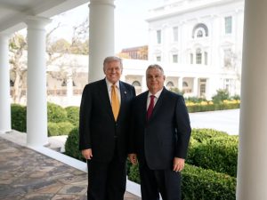 image-5976409317390880282