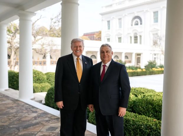 image-5976409317390880282