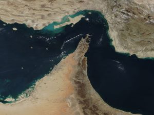 image-6001439321640078568