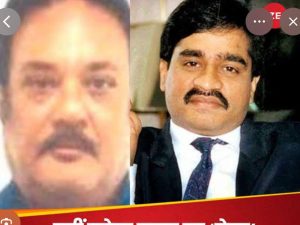 image-6005640126073081360