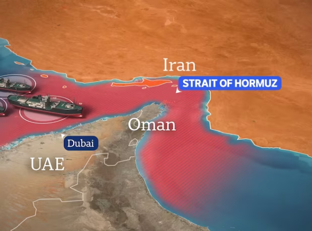 image-ede36c0ccaef82bf409cdfe8612bf0c8