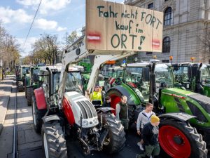 image-f26624a51ece77ea4c691d0c7fdd70d774999ec9