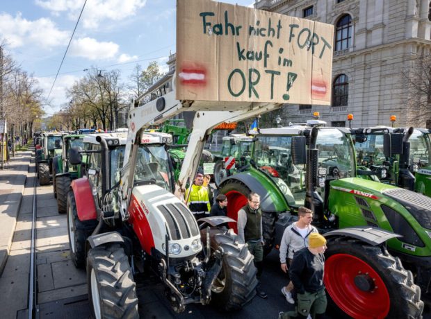 image-f26624a51ece77ea4c691d0c7fdd70d774999ec9