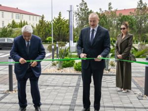 image-img_9049-768x403