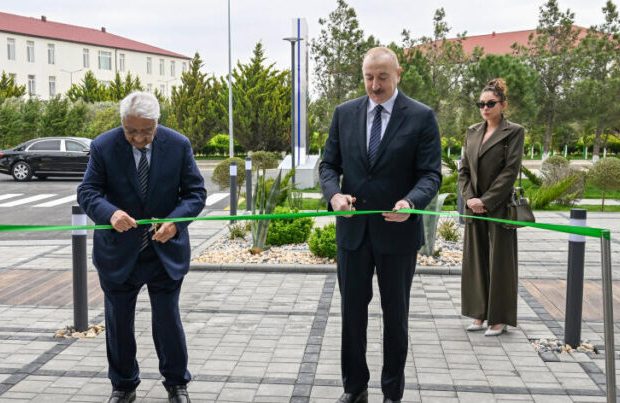 image-img_9049-768x403