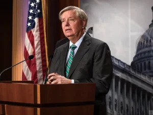 image-krbfmm4kvgrlv2iifdk89yqdkzukeudzxgrzvlpg_1200