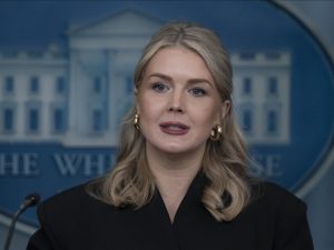 image-thumbs_b_c_f30433ed45235910d18393f467beaf6c