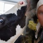 image-whatsapp-image-2026-04-08-at-10-33-26-768x403