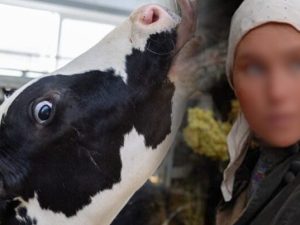 image-whatsapp-image-2026-04-08-at-10-33-26-768x403