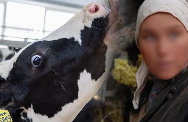 image-whatsapp-image-2026-04-08-at-10-33-26-768x403