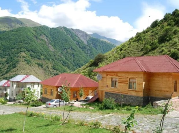 image-1778491966_1