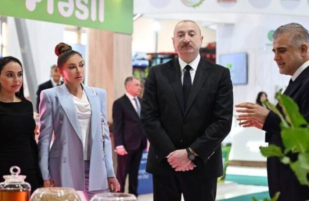 image-5463126176801953355-768x403
