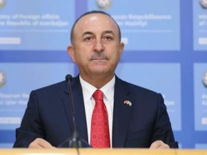 image-cavushoglu-baki-brifinq