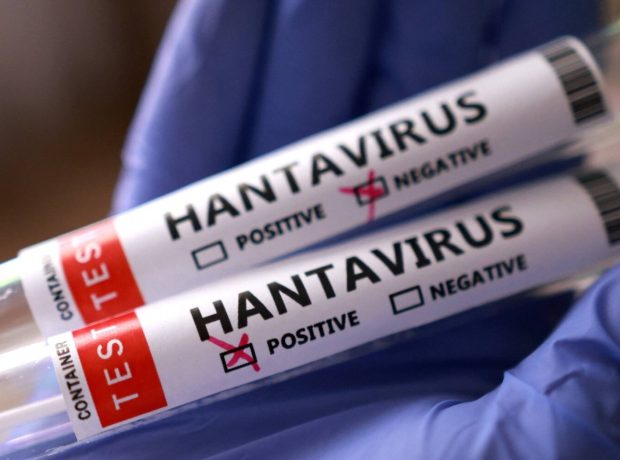 image-hantavirus