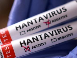 image-hantavirus_2026-768x403